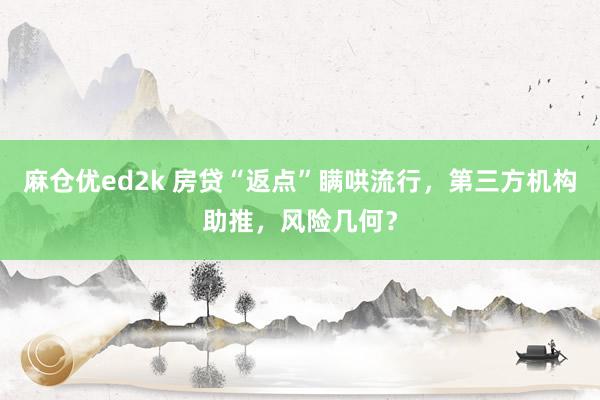 麻仓优ed2k 房贷“返点”瞒哄流行，第三方机构助推，风险几何？