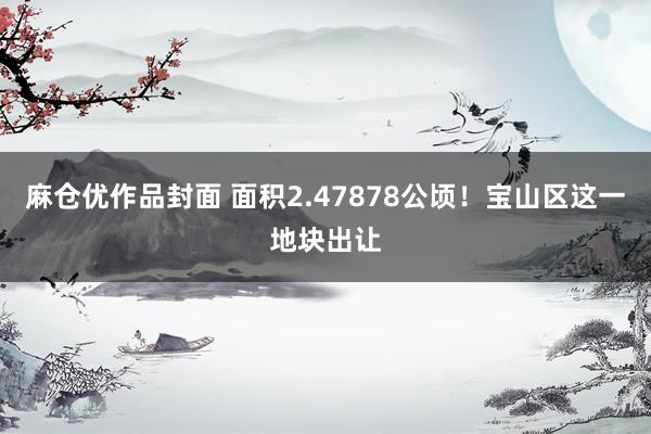 麻仓优作品封面 面积2.47878公顷！宝山区这一地块出让