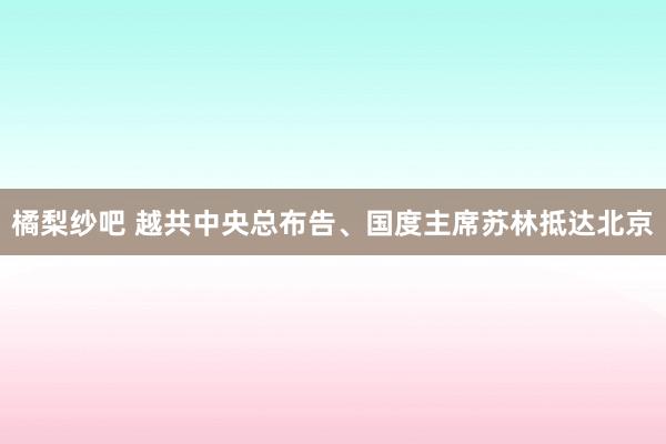 橘梨纱吧 越共中央总布告、国度主席苏林抵达北京