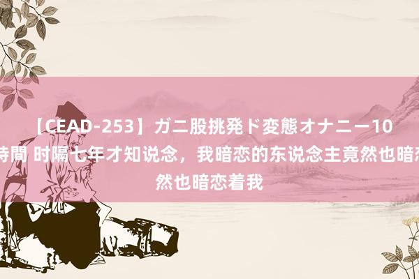 【CEAD-253】ガニ股挑発ド変態オナニー100人8時間 时隔七年才知说念，我暗恋的东说念主竟然也暗恋着我