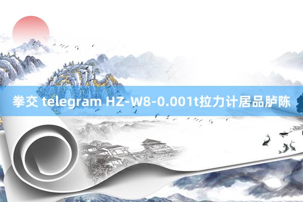 拳交 telegram HZ-W8-0.001t拉力计居品胪陈