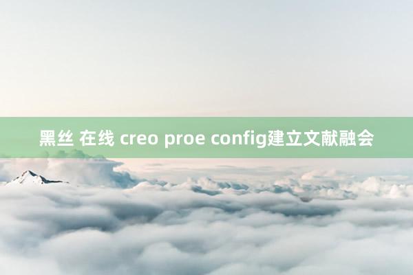 黑丝 在线 creo proe config建立文献融会