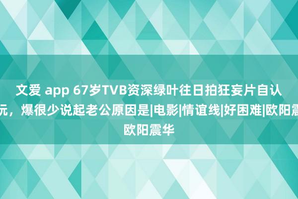 文爱 app 67岁TVB资深绿叶往日拍狂妄片自认贪玩，爆很少说起老公原因是|电影|情谊线|好困难|欧阳震华