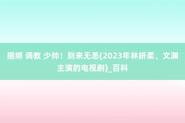 捆绑 调教 少帅！别来无恙(2023年林妍柔、文渊主演的电视剧)_百科