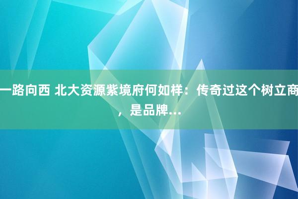 一路向西 北大资源紫境府何如样：传奇过这个树立商，是品牌...